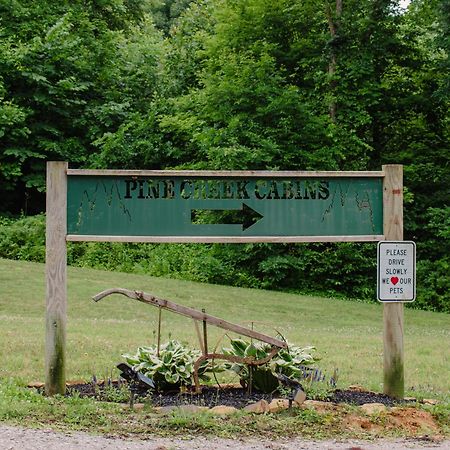 Pine Creek Cabins & Camping Resort South Bloomingville Ngoại thất bức ảnh